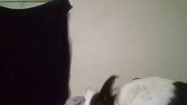 rosequartz online show from January 2026 04:05:02 AM