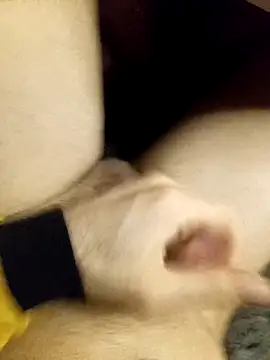 Atabey 65 online show from February 2026 12:30:01 AM