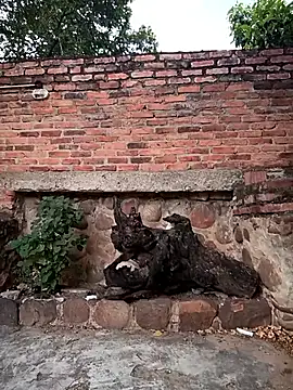 Snapshot of sweet_outdoor_charm chatting on November 2025 08:20:02 PM sweet outdoor charm online show from November 2025 08:20:02 PM