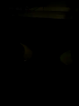 coppiapazza online show from December 2025 11:19:01 PM