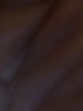 Snapshot of Inseminator69 chatting on December 2024 11:07:02 AM Inseminator69 online show from December 2024 11:07:02 AM