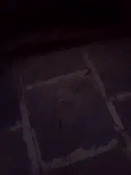 Andrapradesh online show from February 2026 01:02:01 PM