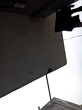 Andrapradesh online show from October 2025 09:00:01 AM