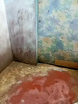 Andrapradesh online show from March 2026 04:56:01 PM