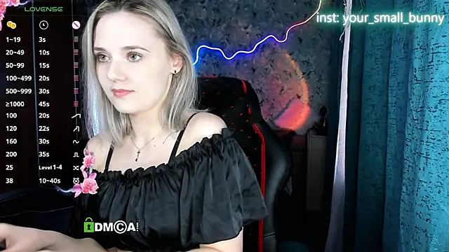 Your small bunny online show from July 2026 02:12:01 AM