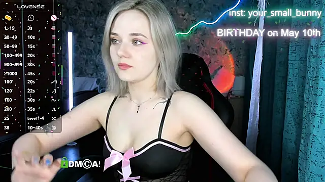 Your small bunny online show from May 2026 02:04:01 AM
