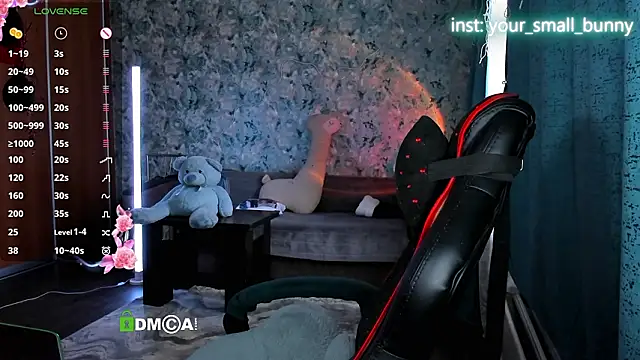 Your small bunny online show from March 2026 02:56:02 AM