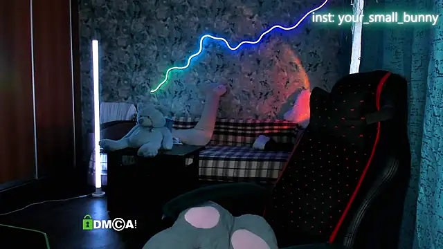 Your small bunny online show from May 2026 02:07:02 AM
