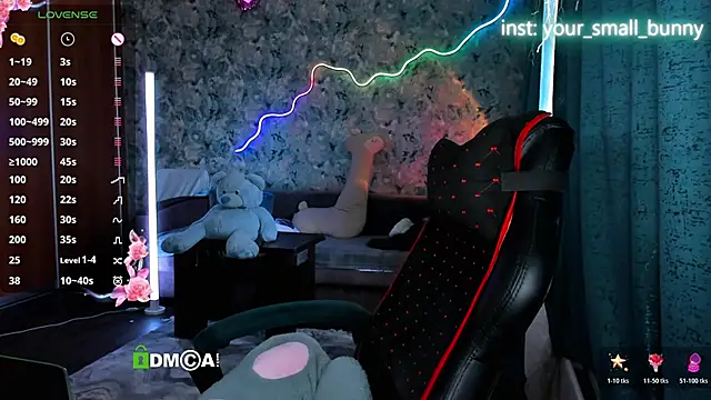 Your small bunny online show from April 2026 07:45:01 AM