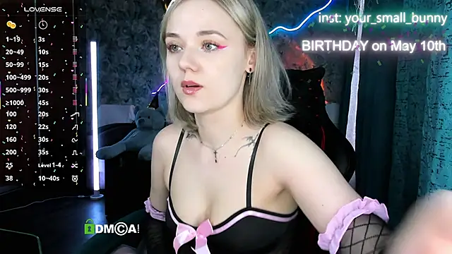 Your small bunny online show from May 2026 02:04:02 AM