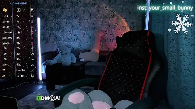 Your small bunny online show from February 2026 02:12:02 AM