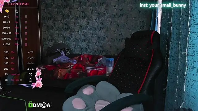 Your small bunny online show from September 2025 02:50:02 AM