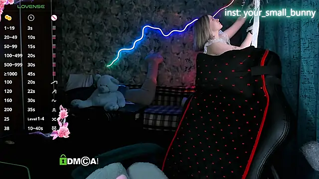 Your small bunny online show from May 2026 02:10:01 AM