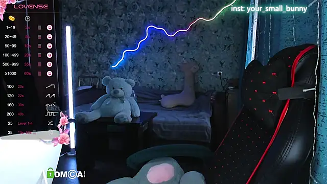 Your small bunny online show from September 2025 02:12:02 AM