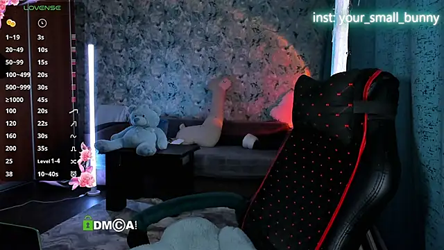 Your small bunny online show from March 2026 02:03:02 AM