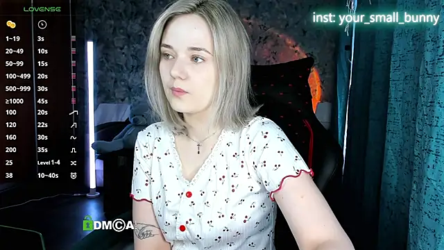 Your small bunny online show from May 2026 02:04:01 AM