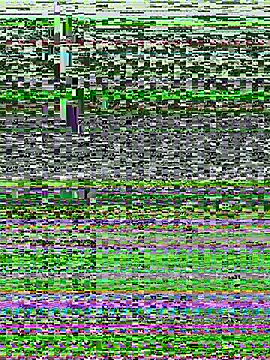 tallnerdyguy online show from February 2026 02:11:01 AM