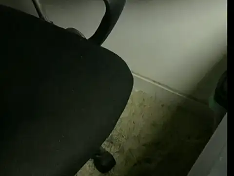 inkjohnrj online show from April 2026 04:46:01 AM