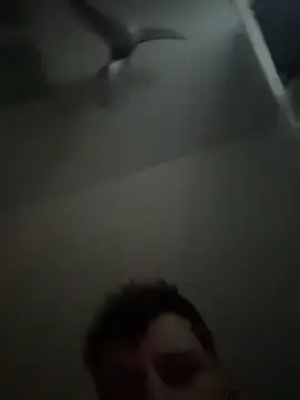 janberlin online show from February 2026 08:03:01 AM