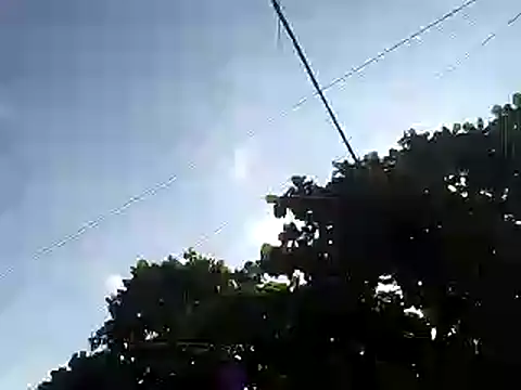 fdvign7 online show from November 2025 09:18:02 PM