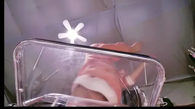 Im IVE LOVE online show from December 2024 05:29:02 AM