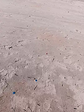 Snapshot of 1010SumiT chatting on November 2025 05:14:02 AM 1010SumiT online show from November 2025 05:14:02 AM