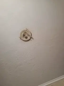 Snapshot of thicktash chatting on February 2026 07:48:02 AM thicktash online show from February 2026 07:48:02 AM