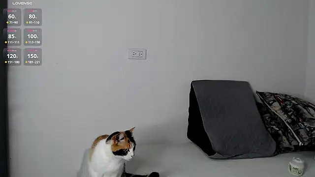 gigilovedback online show from September 2025 11:20:02 PM