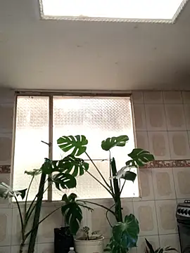 Miss oliviaa online show from November 2025 01:06:02 PM