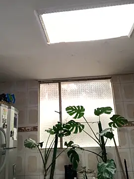 Miss oliviaa online show from November 2025 05:13:02 PM