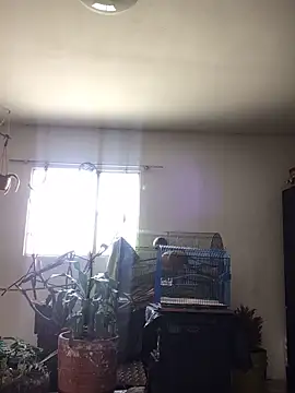 Miss oliviaa online show from October 2025 02:05:02 PM