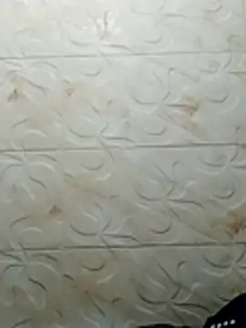 luchoarr online show from November 2025 03:33:02 AM