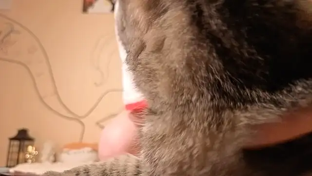 such juicee online show from April 2026 07:20:01 PM