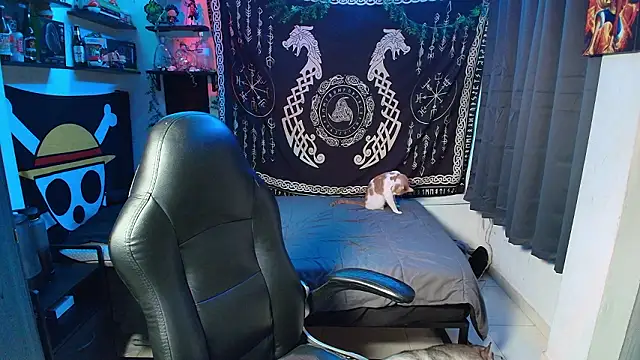 Snapshot of kairozz chatting on February 2026 08:05:02 PM kairozz online show from February 2026 08:05:02 PM