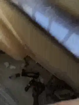 HammeryourVagina online show from June 2026 08:59:01 AM