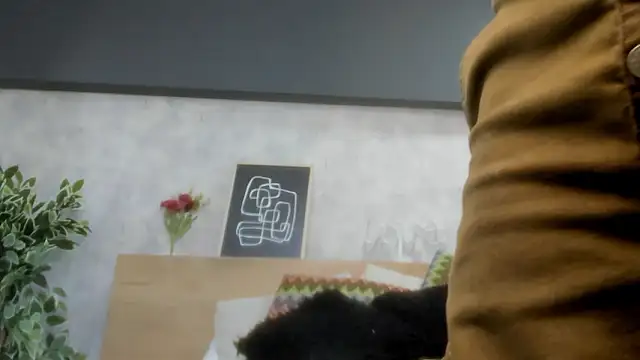 karina gomez 18 online show from March 2026 11:38:01 AM