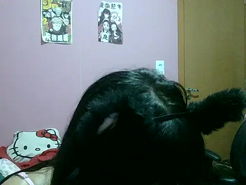 belletotosa online show from May 2026 03:56:01 AM