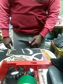 ShelfyOfferer online show from February 2025 11:54:02 PM