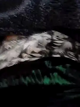 Snapshot of PulaMaresiexcitata12 chatting on January 2025 10:06:02 AM PulaMaresiexcitata12 online show from January 2025 10:06:02 AM