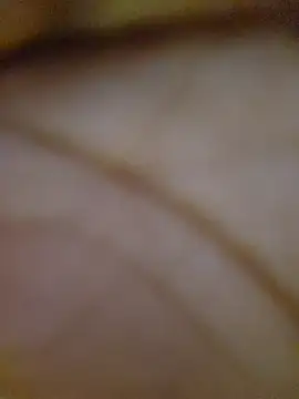 Drippincaty online show from March 2026 04:35:01 PM