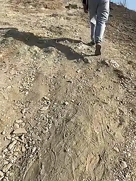 geroAguilar online show from February 2026 12:49:02 PM