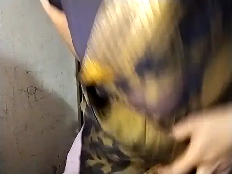 Mumbaistar online show from March 2026 05:35:02 AM