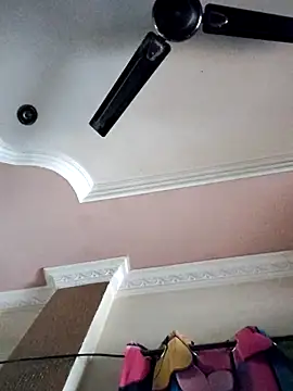 Snapshot of Bangarupapa chatting on October 2025 08:04:02 AM Bangarupapa online show from October 2025 08:04:02 AM