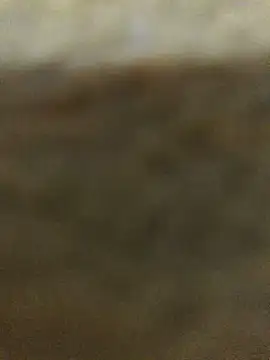 Snapshot of Bigdick_pedro chatting on September 2025 01:49:01 AM Bigdick pedro online show from September 2025 01:49:01 AM