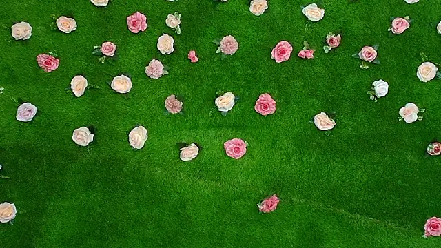 Huge Titties  online show from December 2025 05:22:02 PM