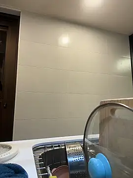 wt0314 online show from November 2025 01:44:01 PM