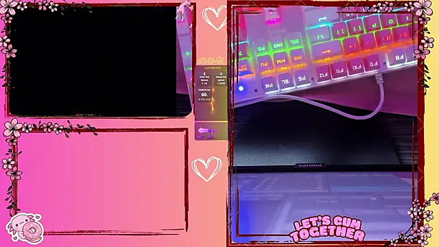 BellyRouse online show from April 2026 04:15:01 AM