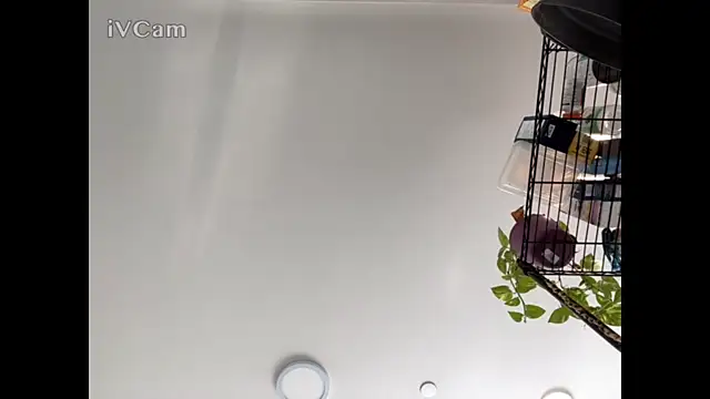 MisterHardCockk online show from December 2025 07:03:02 PM