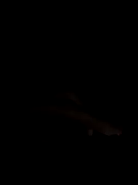 PEACHY439 online show from November 2025 05:11:02 AM