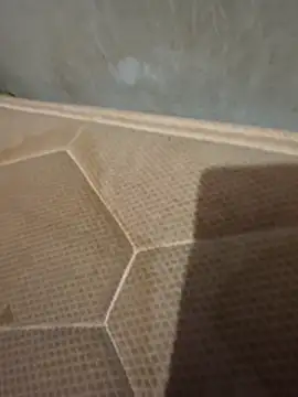 Chneor28 online show from February 2026 10:53:01 PM